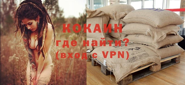 дживик Алексин