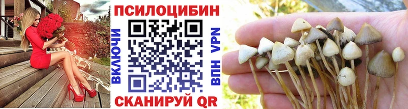 Псилоцибиновые грибы Magic Shrooms  Глазов 